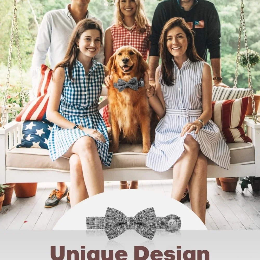 AirTag Dog Collar, Dog Collar for Medium Dogs with Air Tag Holder Case - Picture 4 of 8